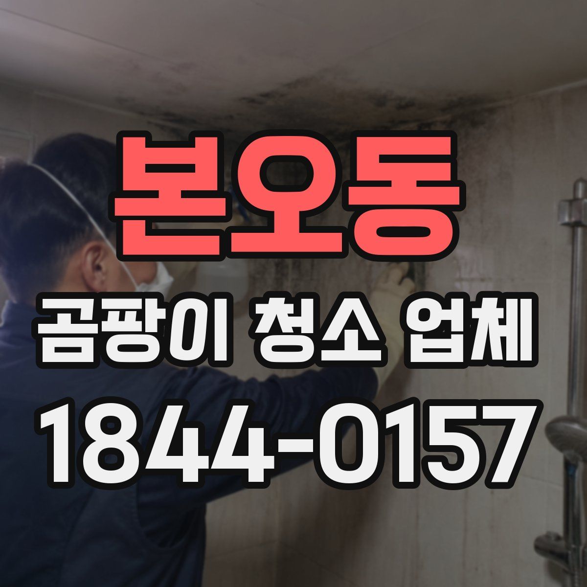 본오동 곰팡이 청소 업체