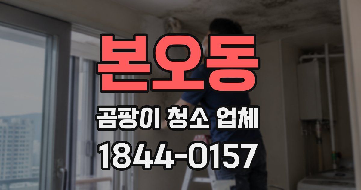 본오동 곰팡이 청소 업체