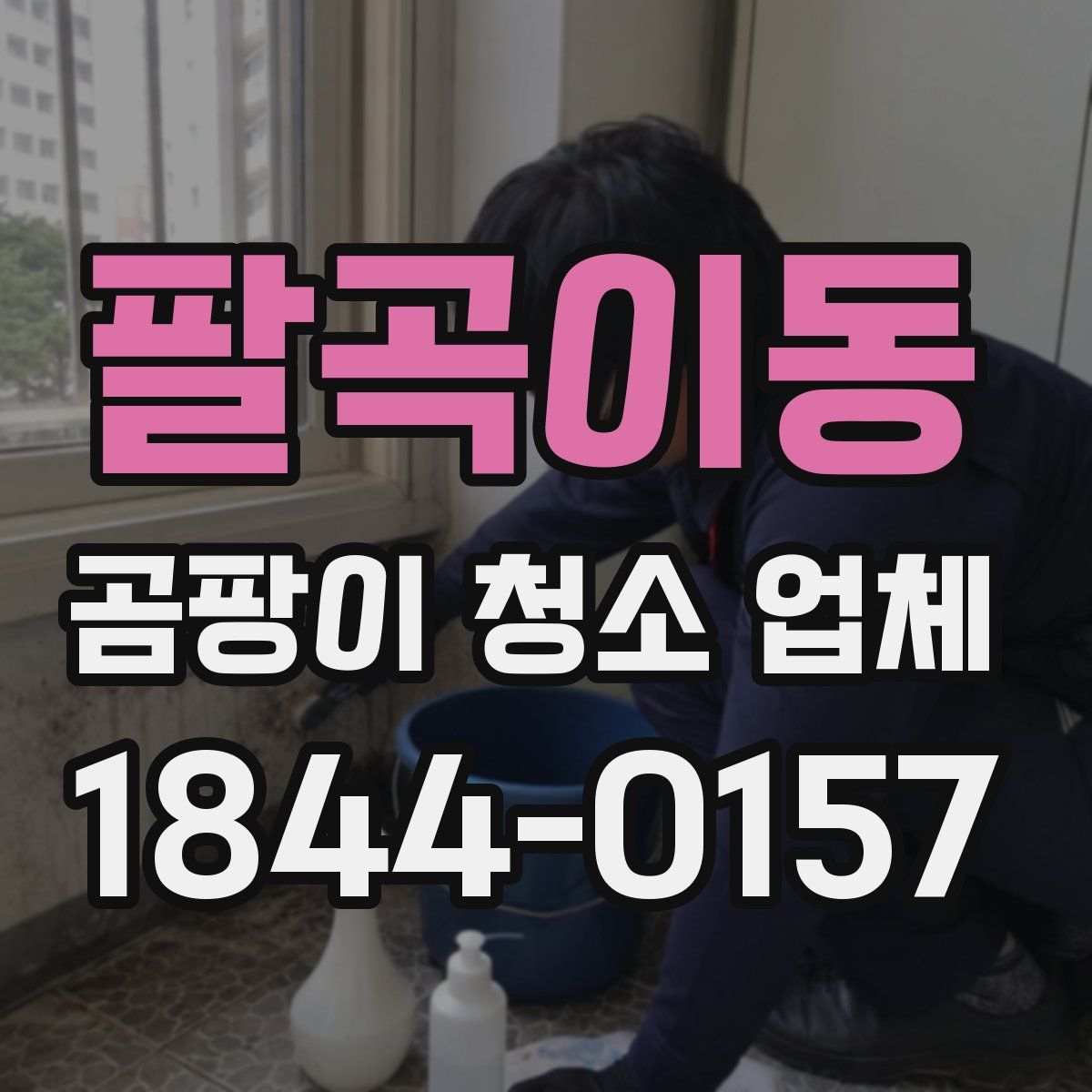 팔곡이동 곰팡이 청소 업체