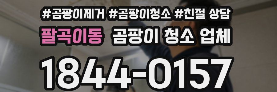 팔곡이동 곰팡이 청소 업체