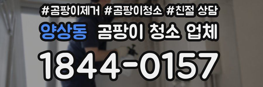 양상동 곰팡이 청소 업체