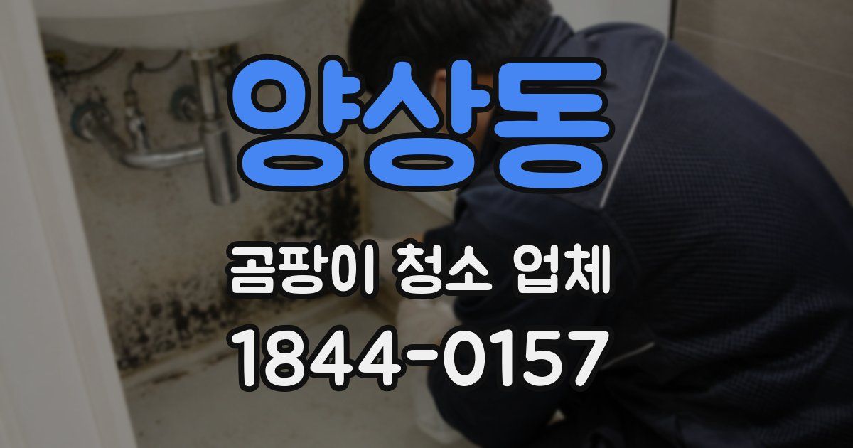 양상동 곰팡이 청소 업체