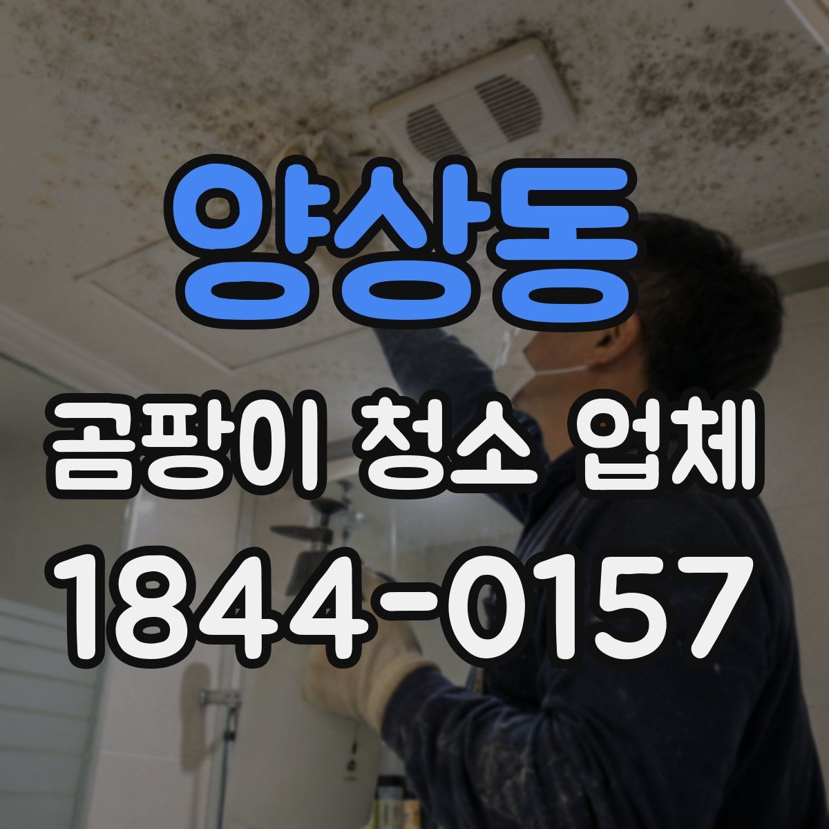 양상동 곰팡이 청소 업체