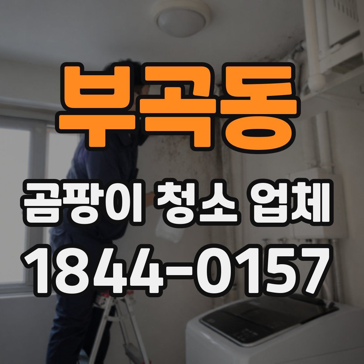 부곡동 곰팡이 청소 업체