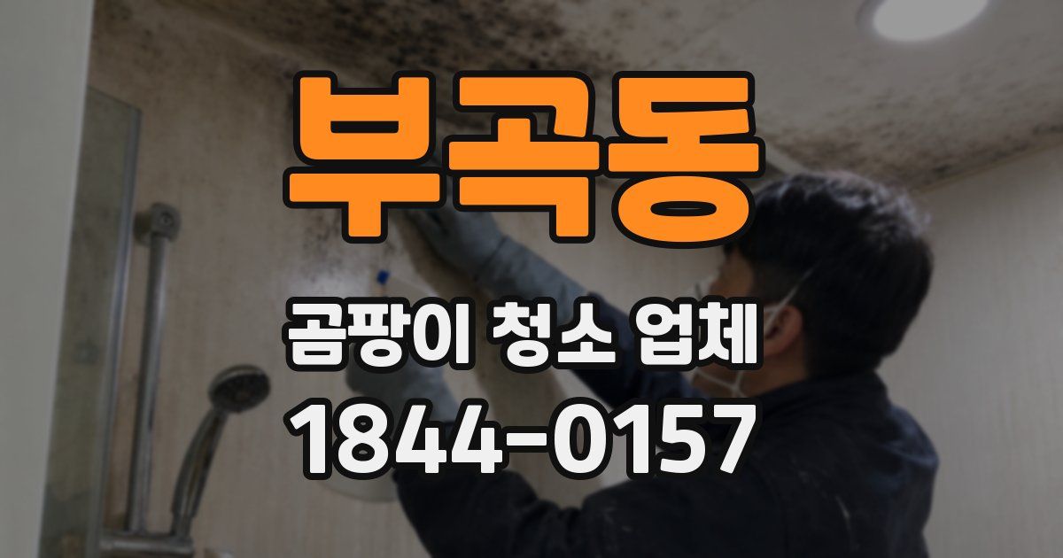 부곡동 곰팡이 청소 업체