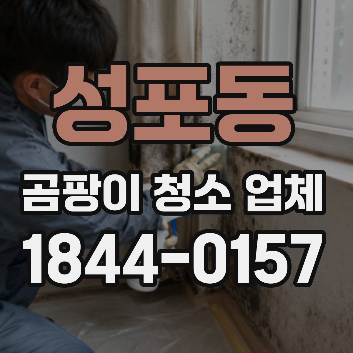 성포동 곰팡이 청소 업체