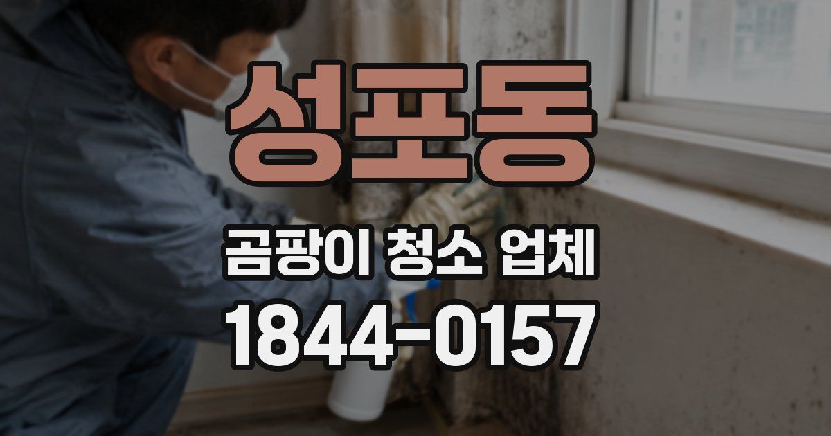 성포동 곰팡이 청소 업체