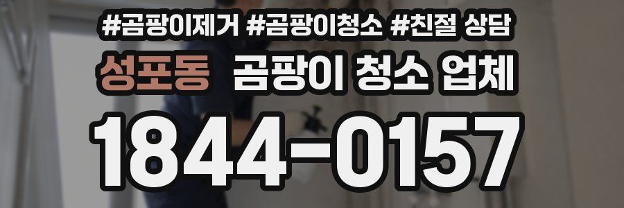 성포동 곰팡이 청소 업체