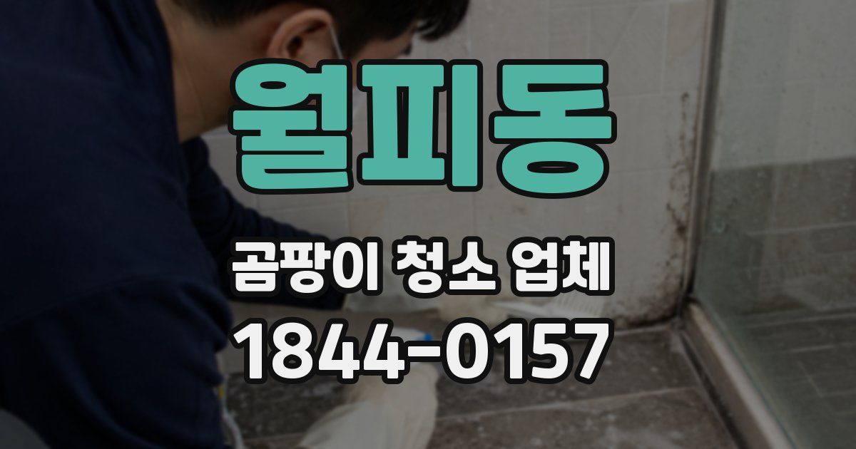 월피동 곰팡이 청소 업체