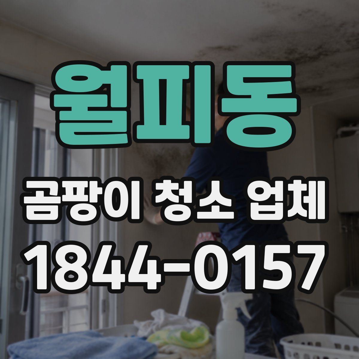월피동 곰팡이 청소 업체