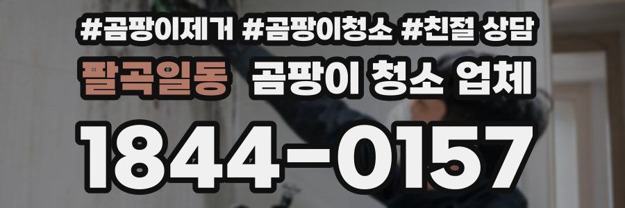 팔곡일동 곰팡이 청소 업체