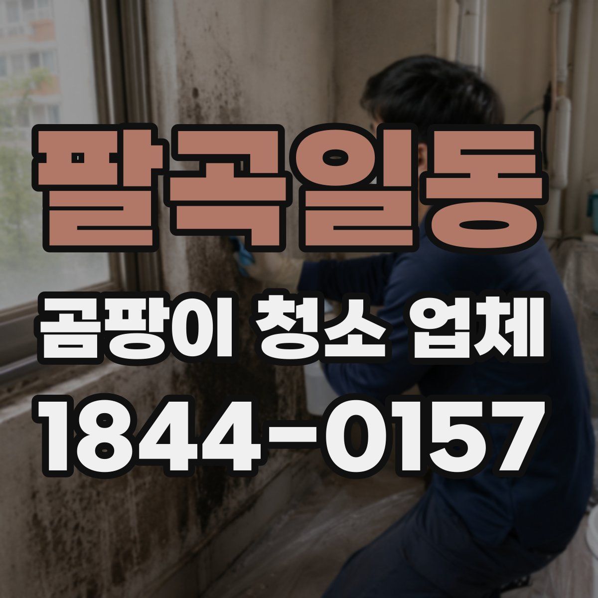 팔곡일동 곰팡이 청소 업체