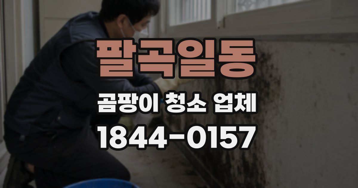 팔곡일동 곰팡이 청소 업체