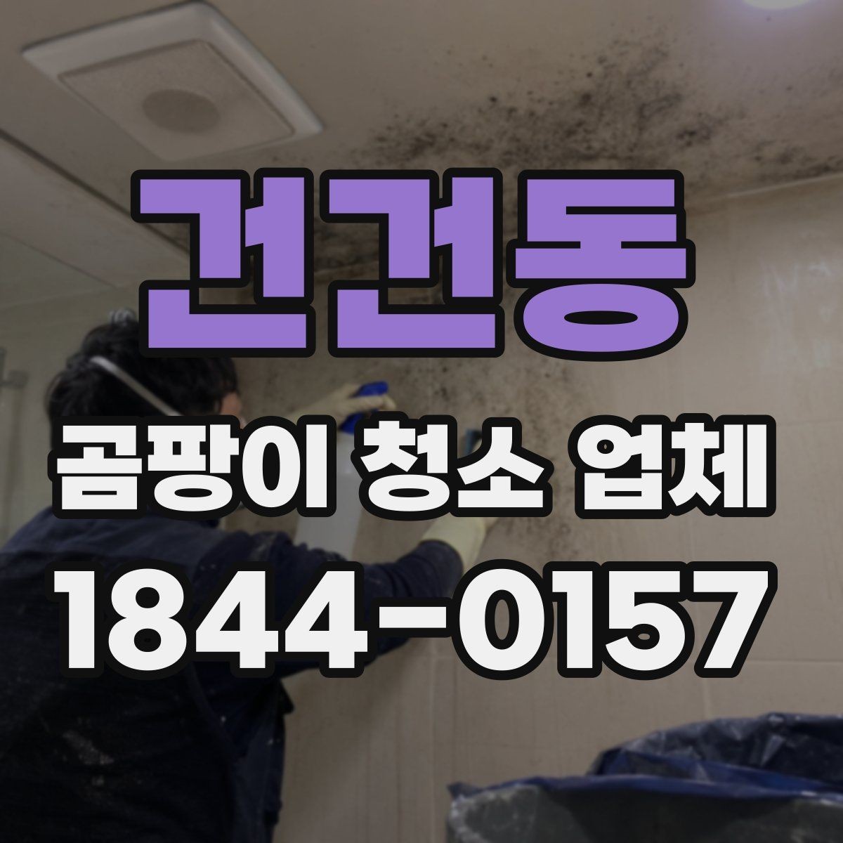 건건동 곰팡이 청소 업체 진행 순서와 현장 준비