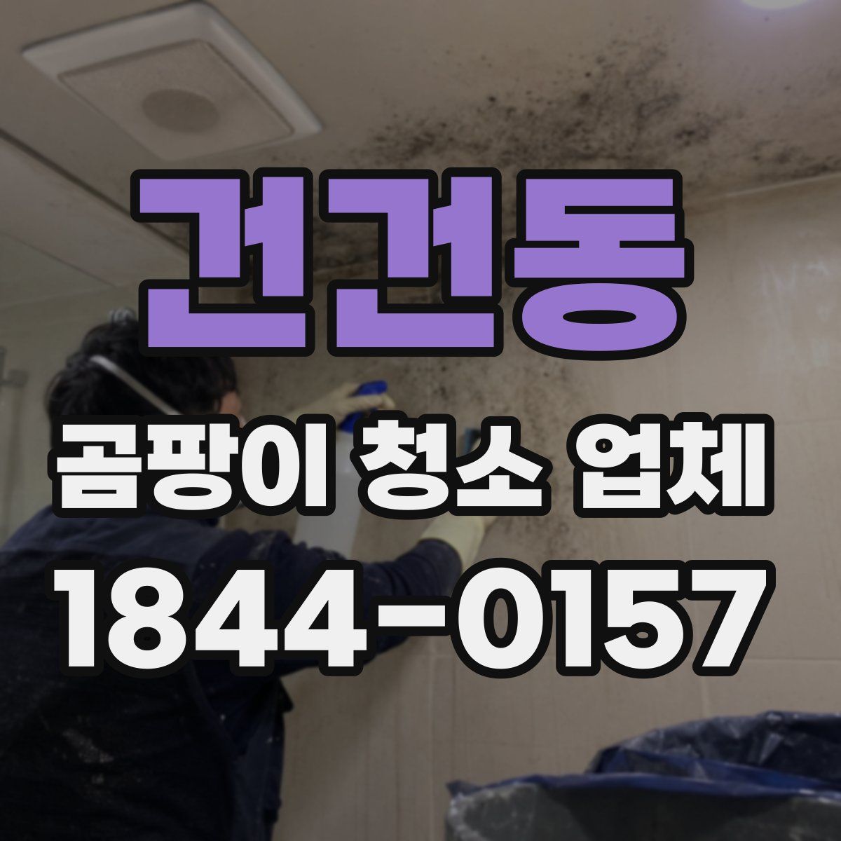 건건동 곰팡이 청소 업체
