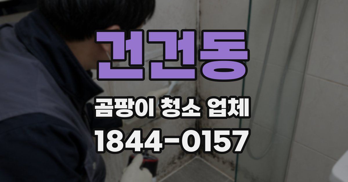 건건동 곰팡이 청소 업체
