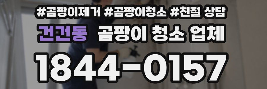 건건동 곰팡이 청소 업체