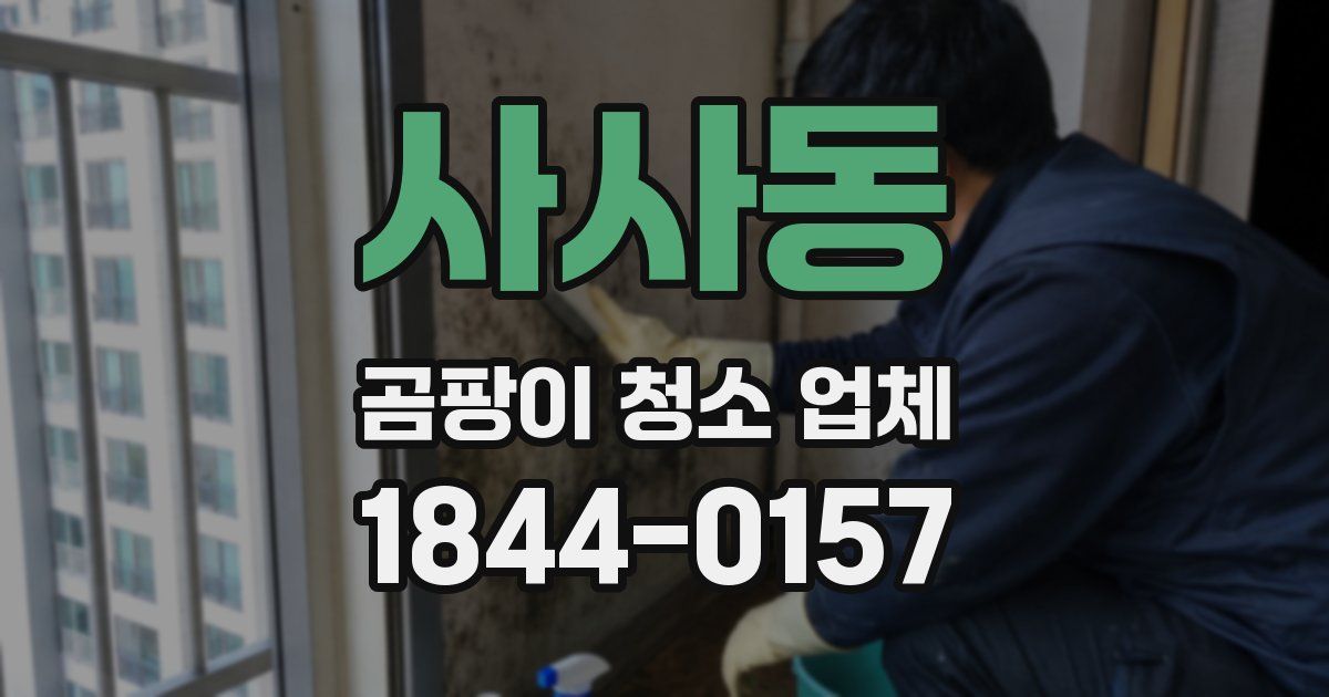 사사동 곰팡이 청소 업체