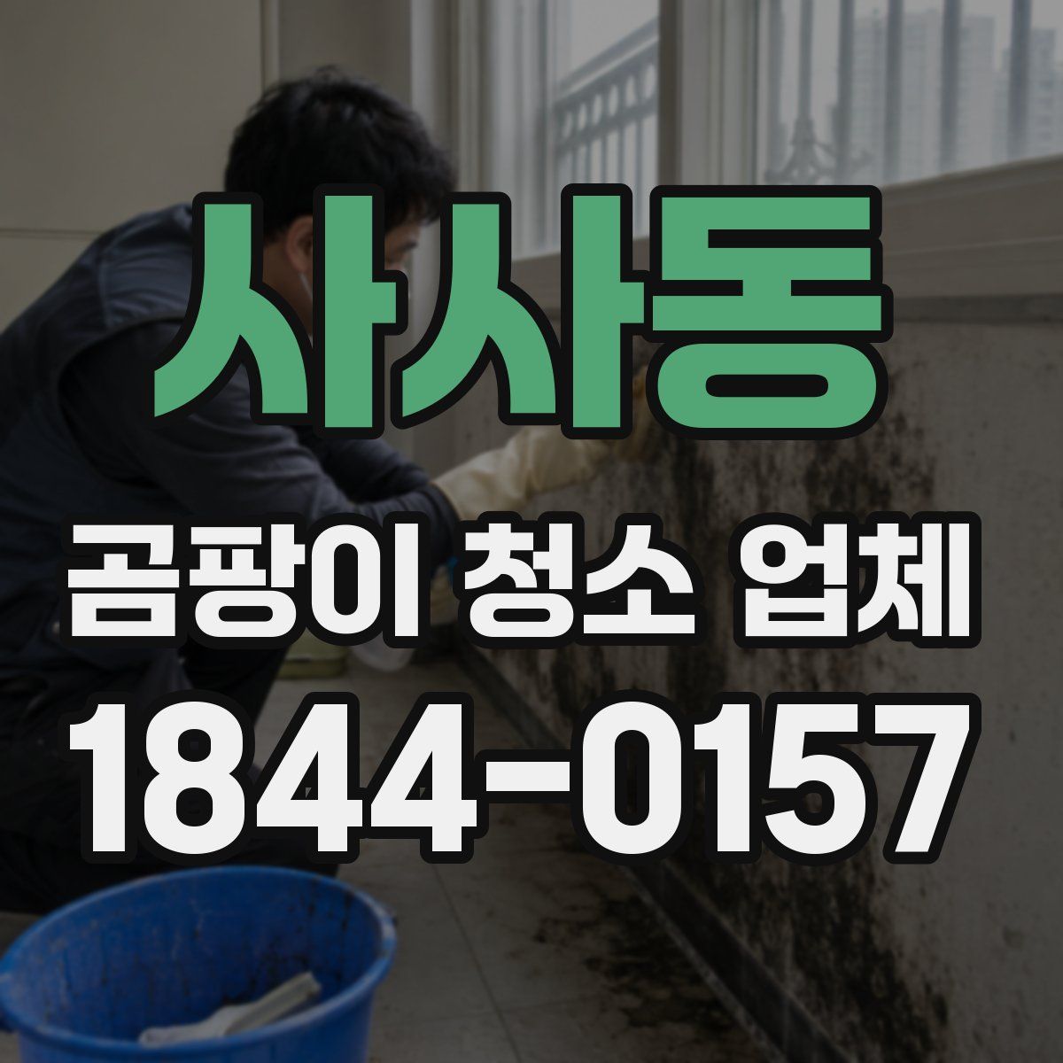 사사동 곰팡이 청소 업체