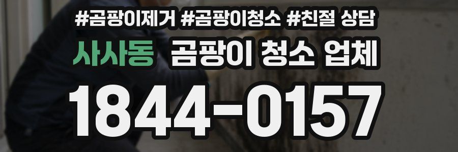 사사동 곰팡이 청소 업체