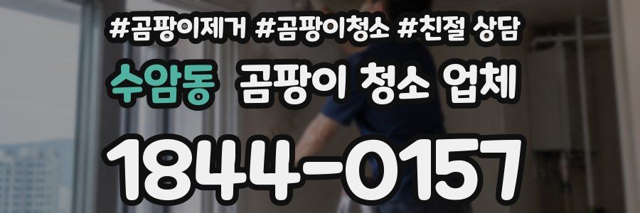 수암동 곰팡이 청소 업체