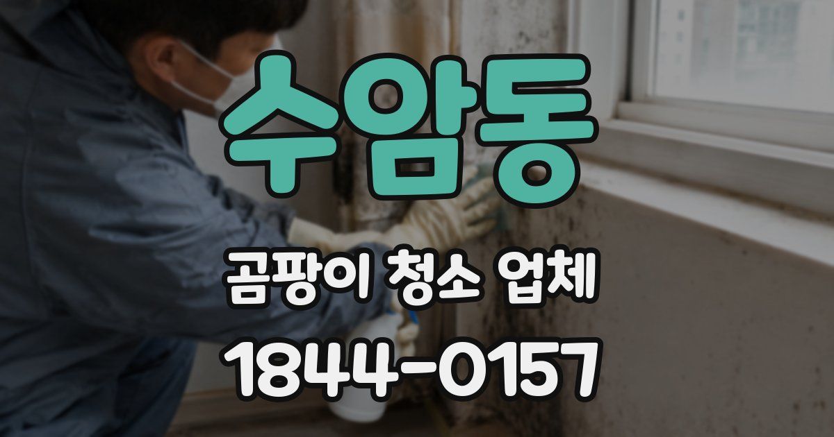 수암동 곰팡이 청소 업체