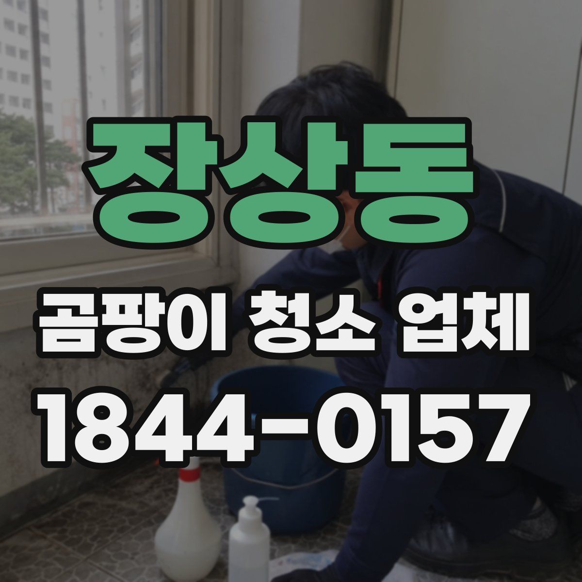 장상동 곰팡이 청소 업체
