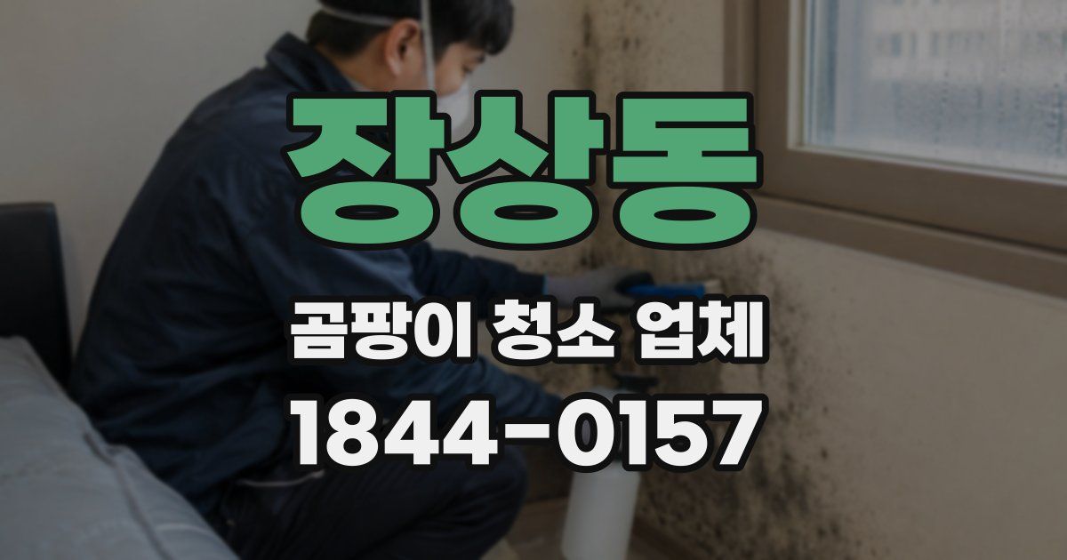 장상동 곰팡이 청소 업체