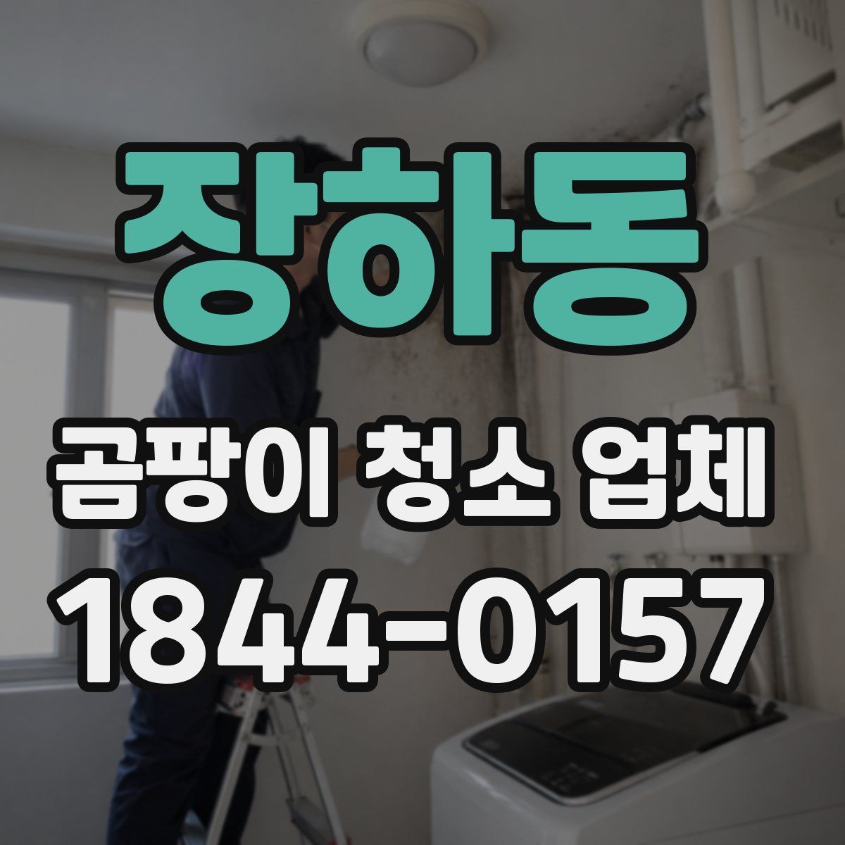 장하동 곰팡이 청소 업체