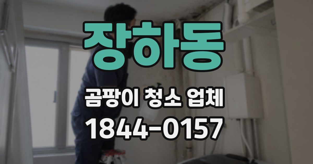 장하동 곰팡이 청소 업체