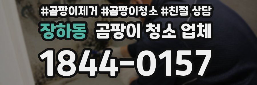 장하동 곰팡이 청소 업체
