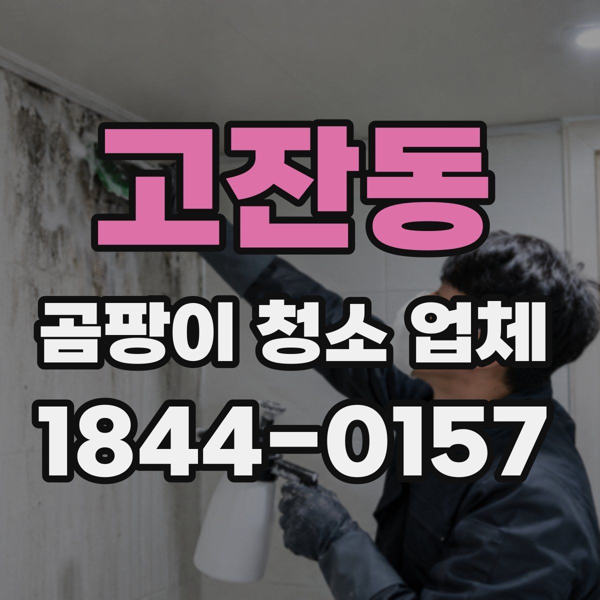 고잔동 곰팡이 청소 업체 서비스 범위와 추가 비용