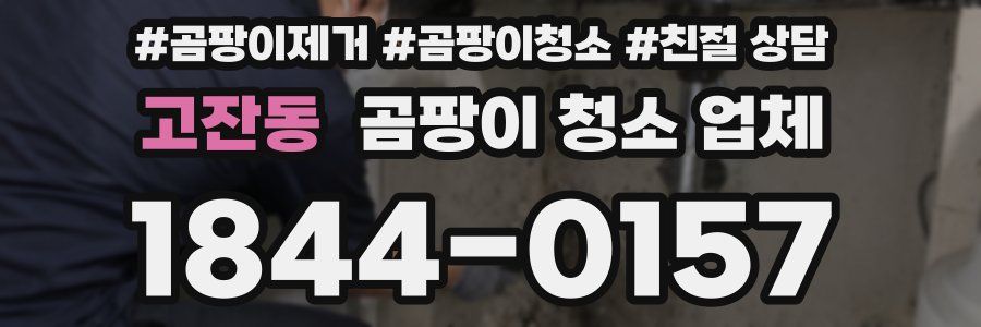 고잔동 곰팡이 청소 업체