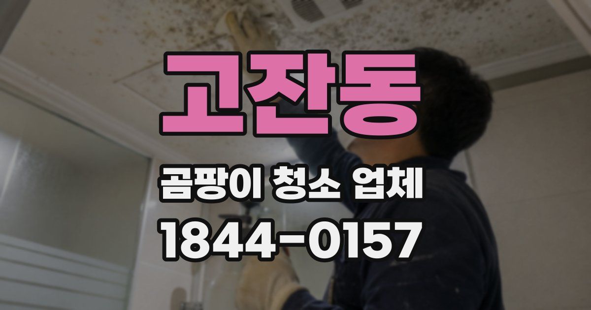 고잔동 곰팡이 청소 업체