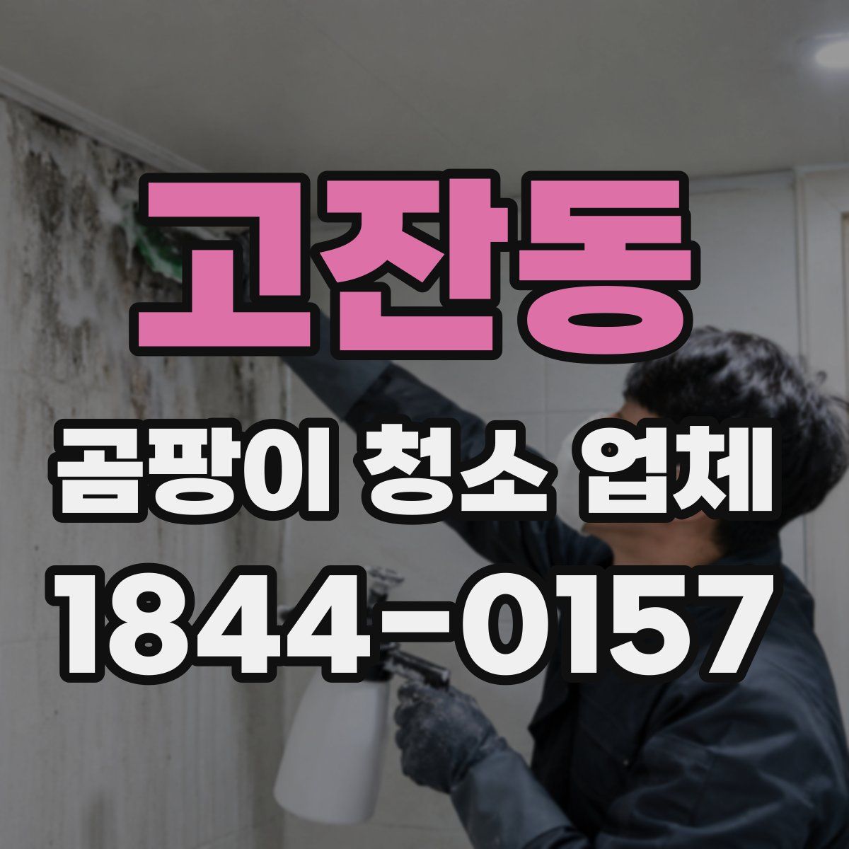 고잔동 곰팡이 청소 업체