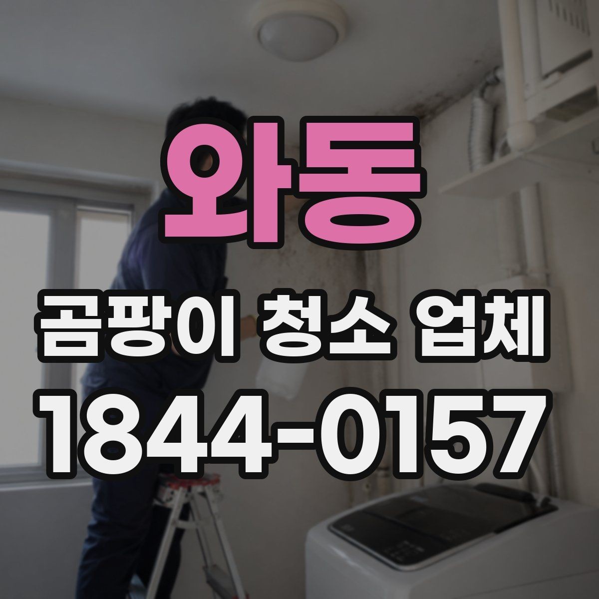 와동 곰팡이 청소 업체 선택 시 신뢰도를 판단하는 기준