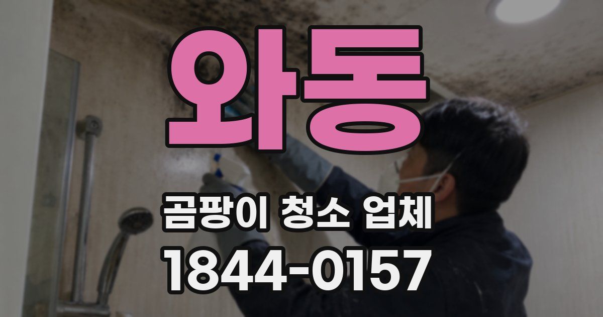 와동 곰팡이 청소 업체