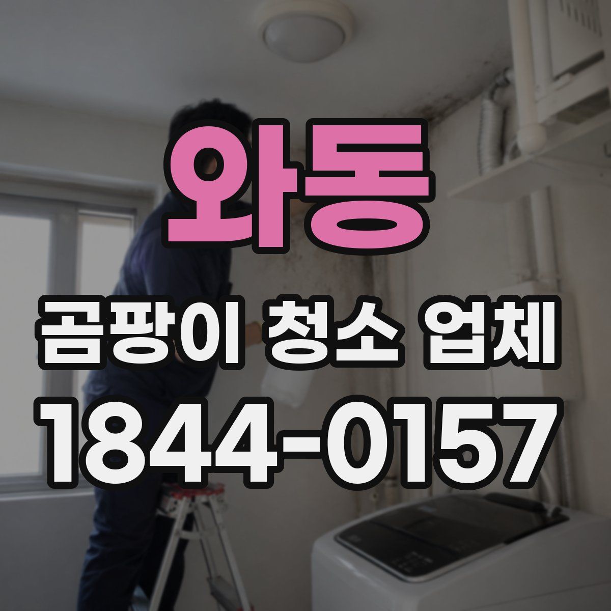 와동 곰팡이 청소 업체