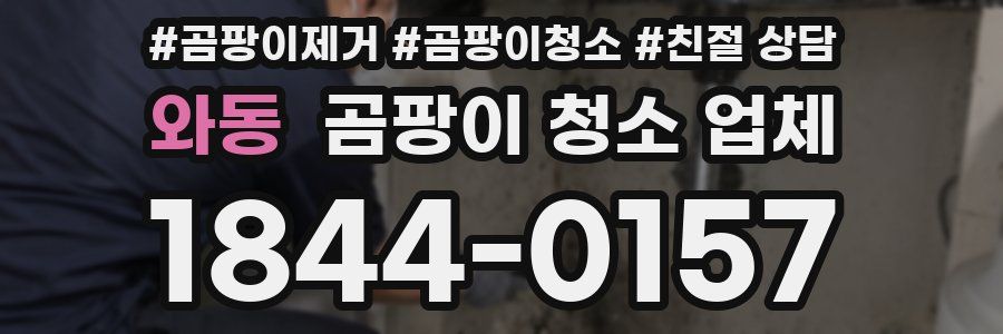 와동 곰팡이 청소 업체