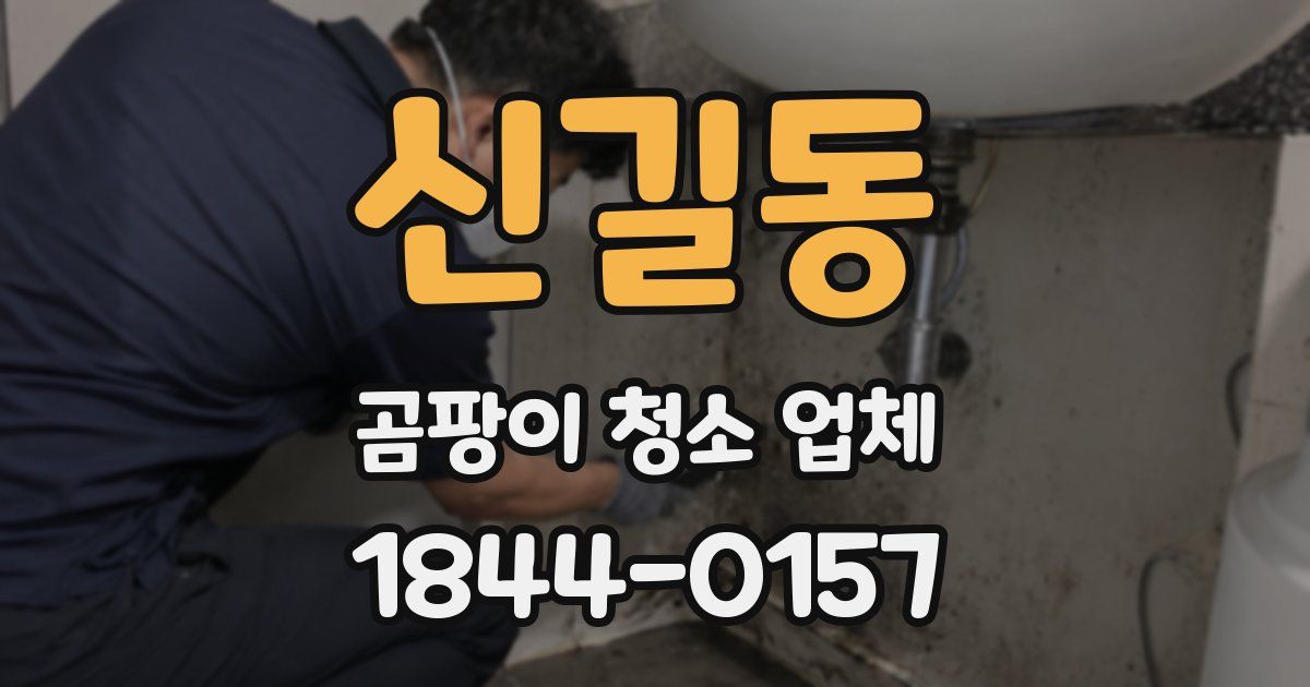 신길동 곰팡이 청소 업체