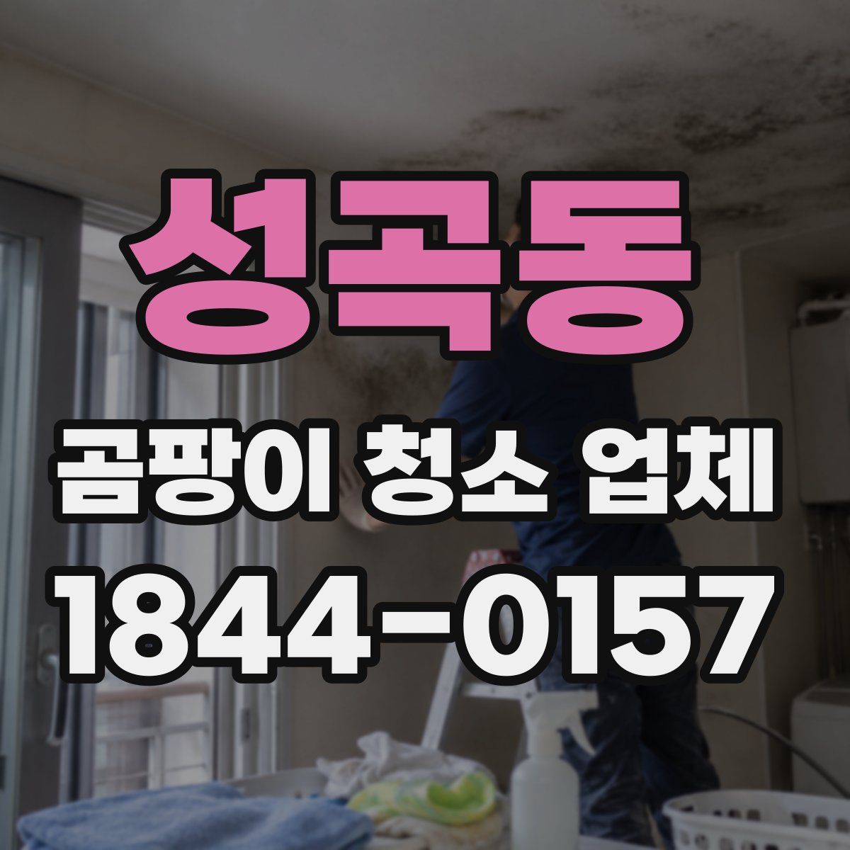성곡동 곰팡이 청소 업체