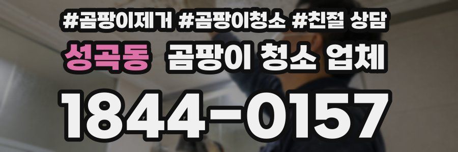 성곡동 곰팡이 청소 업체