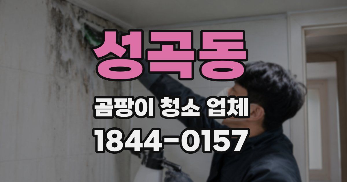 성곡동 곰팡이 청소 업체
