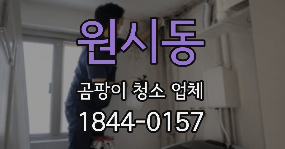 원시동 곰팡이 청소 업체
