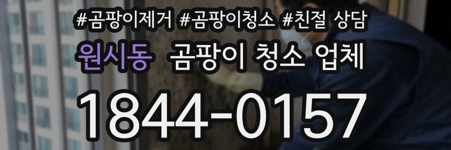 원시동 곰팡이 청소 업체