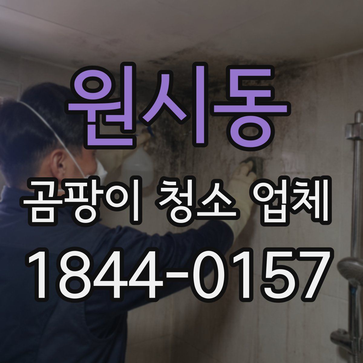 원시동 곰팡이 청소 업체