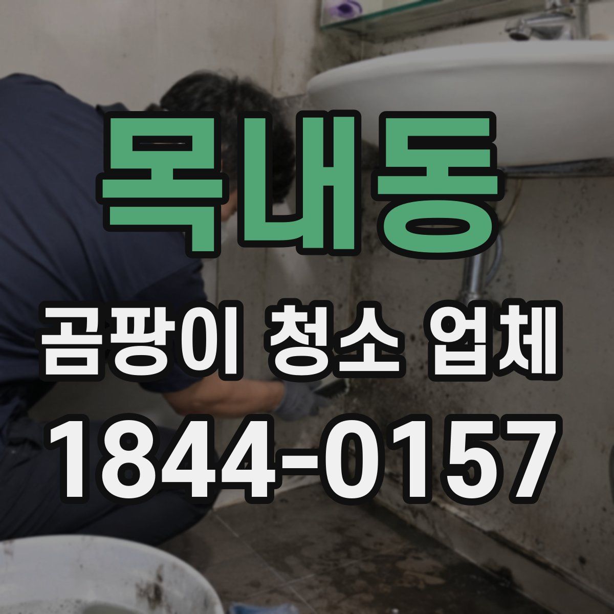 목내동 곰팡이 청소 업체
