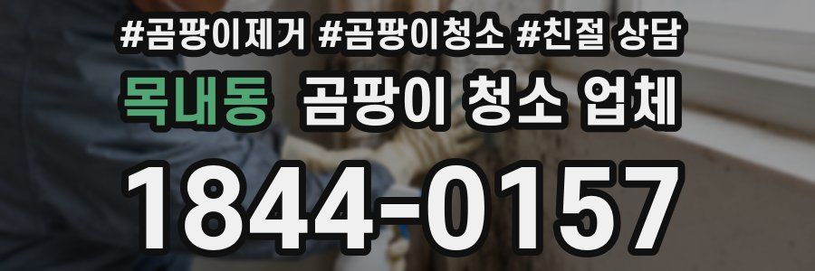 목내동 곰팡이 청소 업체