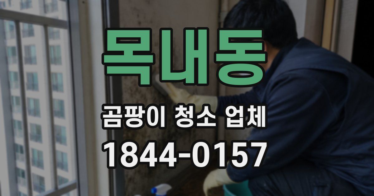 목내동 곰팡이 청소 업체