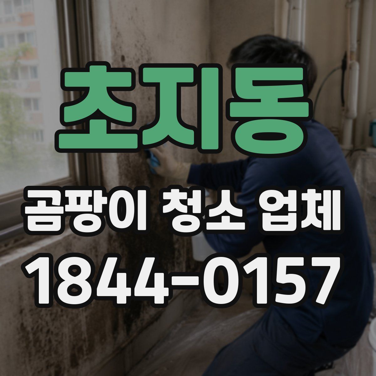 초지동 곰팡이 청소 업체